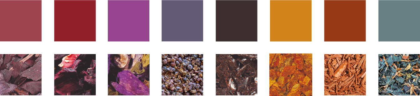 Palette-top herbs colors