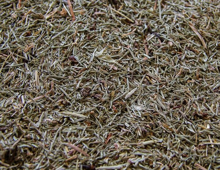 BIANCOSPINO Equiseto-8016 - Image 3